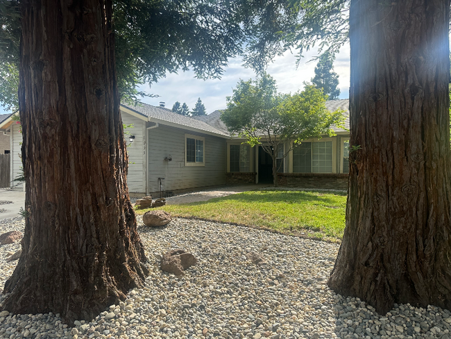 1035 Cordelia Ct in Chico, CA - Foto de edificio - Building Photo
