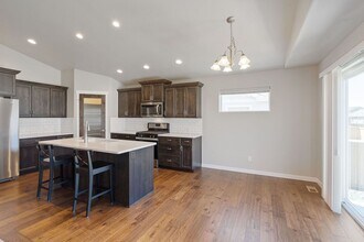 6977 Grassy Range Dr in Wellington, CO - Building Photo - Building Photo