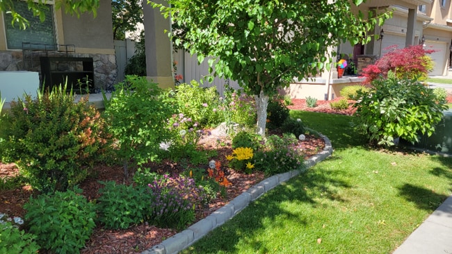 807 Whisper Cove Rd in Sandy, UT - Building Photo - Building Photo