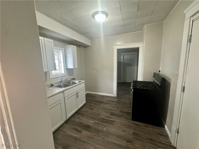 555 Lumiere St in Akron, OH - Building Photo - Building Photo