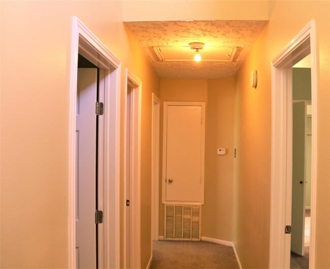 8846 N Rylander Cir in Houston, TX - Building Photo - Building Photo