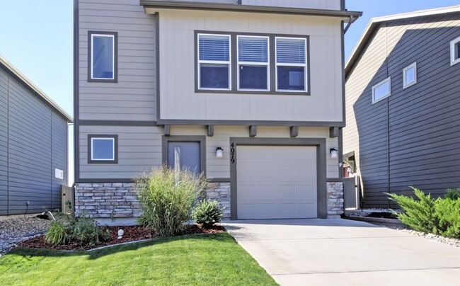 4079 Jericho Loop in Colorado Springs, CO - Building Photo - Building Photo
