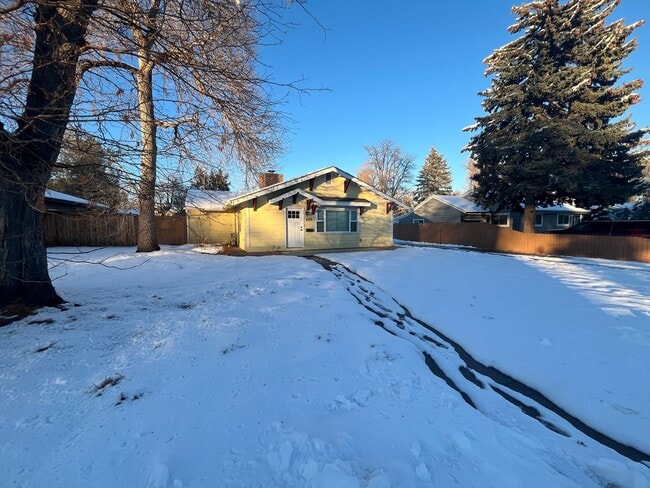 1020 Sunset Ave in Fort Collins, CO - Foto de edificio - Building Photo