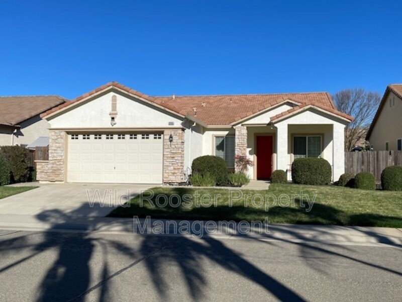 10165 Sorenstam Dr in Sacramento, CA - Building Photo