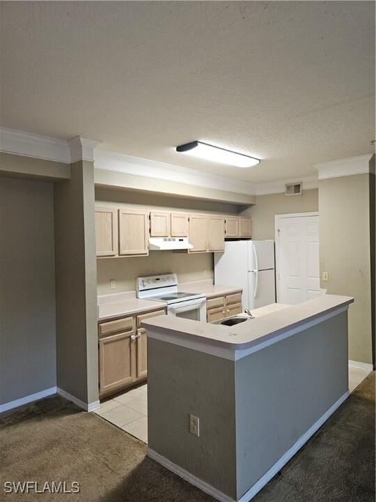 11510 Villa Grand in Ft. Myers, FL - Building Photo