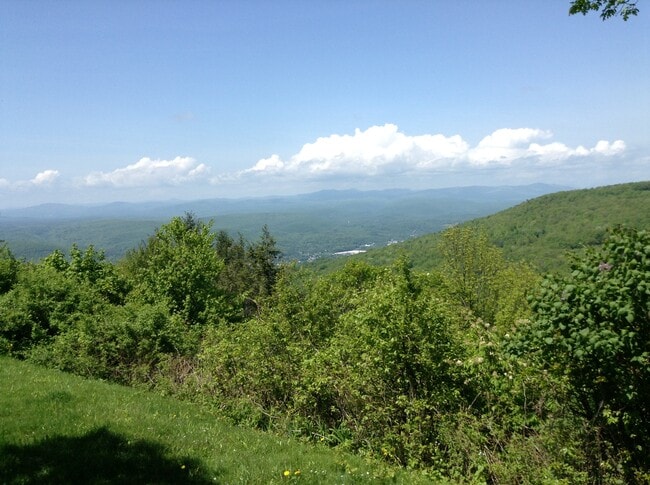 290 Henry Rd in Pine Bush, NY - Building Photo - Building Photo