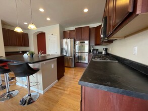 17784 Coral Burst St in Parker, CO - Building Photo - Building Photo