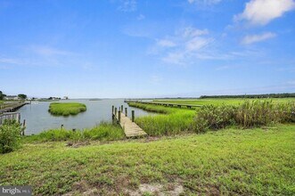 2 Cove View Rd in Millsboro, DE - Building Photo - Building Photo