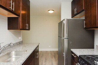 533 W Surf St in Chicago, IL - Building Photo - Building Photo