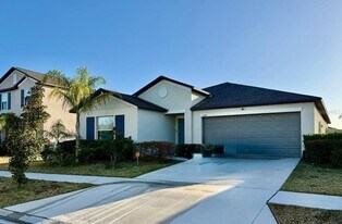 11509 Sage Canyon Dr. in Riverview, FL - Building Photo