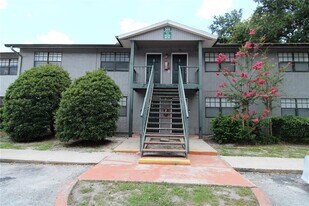 201 Poinsettia Pine Ct in Tampa, FL - Building Photo