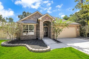 12635 Lakeshore Dr in Montgomery, TX - Building Photo