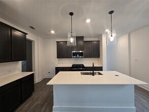 224 Langhorne Bnd in Liberty Hill, TX - Building Photo - Building Photo