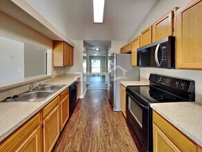 2949 Biloxi Trl in Middleburg, FL - Building Photo - Building Photo