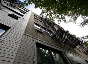 Dor L'Dor Properties in New York, NY - Building Photo - Building Photo