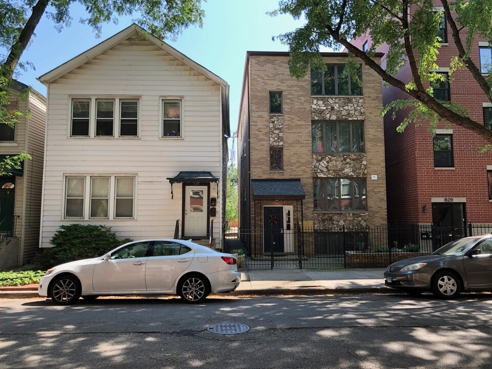 823 S Carpenter St in Chicago, IL - Building Photo