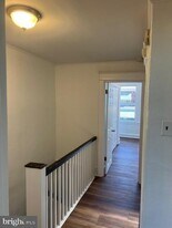 640 Allengrove St in Philadelphia, PA - Building Photo