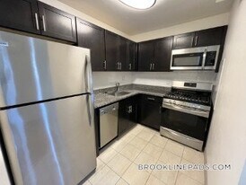 185 Freeman St, Unit 545 in Brookline, MA - Building Photo