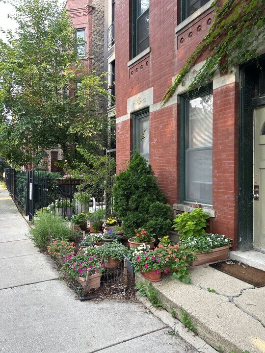 862 N Hermitage Ave in Chicago, IL - Building Photo