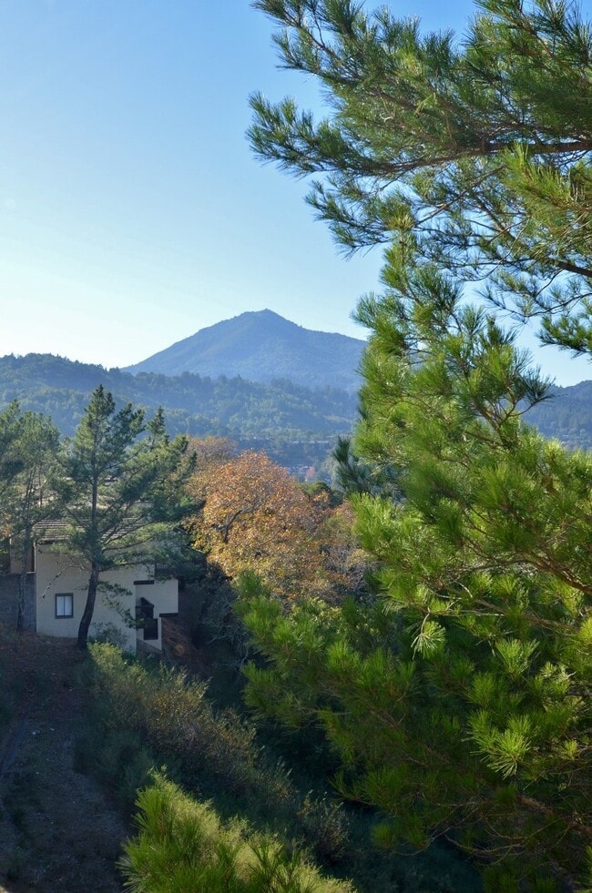 property at 614 Vía Casitas