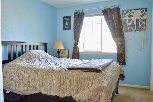 1487 Brimble Dr in Erie, CO - Building Photo - Building Photo