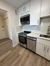 70 W Burton Pl, Unit 1108F in Chicago, IL - Building Photo - Building Photo
