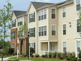 The Vinings at Duncan Chapel