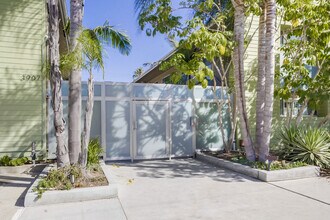3907 Georgia St in San Diego, CA - Building Photo - Building Photo