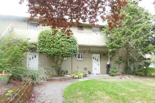 4804 Terrace Dr NE in Seattle, WA - Building Photo