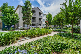 Pavona Apartments in San Jose, CA - Building Photo - Building Photo