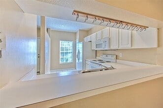 1309 Costa Mesa Dr in Wesley Chapel, FL - Building Photo - Building Photo