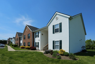 Sheffield Manor in London, OH - Foto de edificio - Building Photo