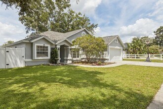 2313 Foggy Ridge Pkwy in Land O Lakes, FL - Building Photo - Building Photo