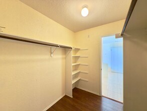 17125 Dashwood Creek Dr in Pflugerville, TX - Building Photo - Building Photo