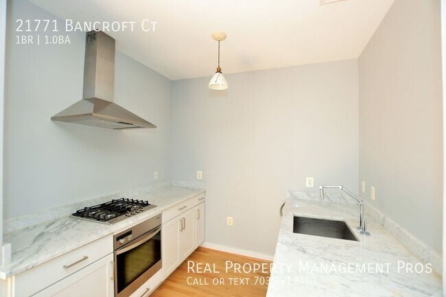 21771 Bancroft Ct in Ashburn, VA - Building Photo - Building Photo