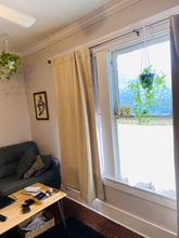 4119 Stanford St in Houston, TX - Building Photo - Building Photo