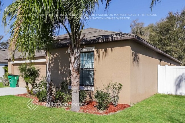 3173 Moulden Hollow Dr in Zephyrhills, FL - Building Photo - Building Photo