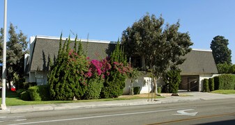 898 S Lemon St in Anaheim, CA - Building Photo