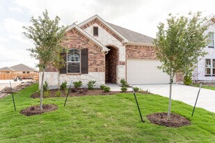 6509 Golden Bough Ln in Pflugerville, TX - Building Photo