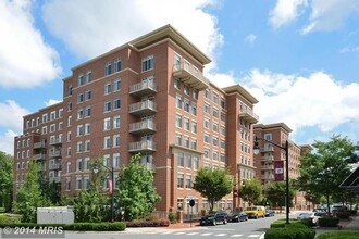 4490 Market Commons Dr, Unit 507 in Fairfax, VA - Building Photo - Building Photo