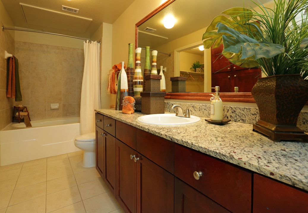 Camden Riverwalk in Grapevine, TX - Building Photo