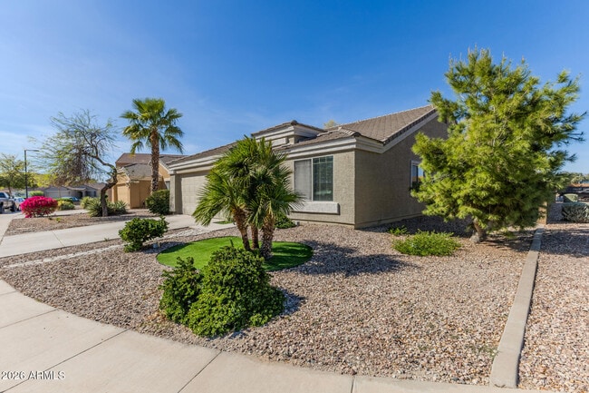 23538 W Grove Cir in Buckeye, AZ - Building Photo - Building Photo