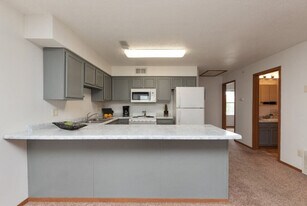 421 S Dodge St in Iowa City, IA - Building Photo