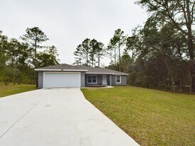 10102 SW 188th Cir in Dunnellon, FL - Building Photo