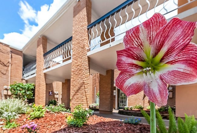 Forestwood Apartments in Slidell, LA - Building Photo - Building Photo