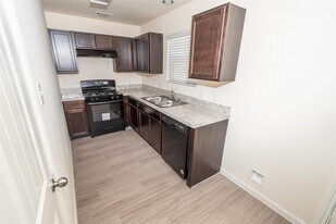 17006 Hailey Harbor Dr in Richmond, TX - Building Photo