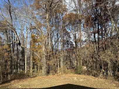 430 Lytle Cove Rd in Swannanoa, NC - Building Photo - Building Photo