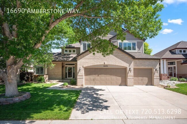 16690 Amberstone Way in Parker, CO - Building Photo - Building Photo