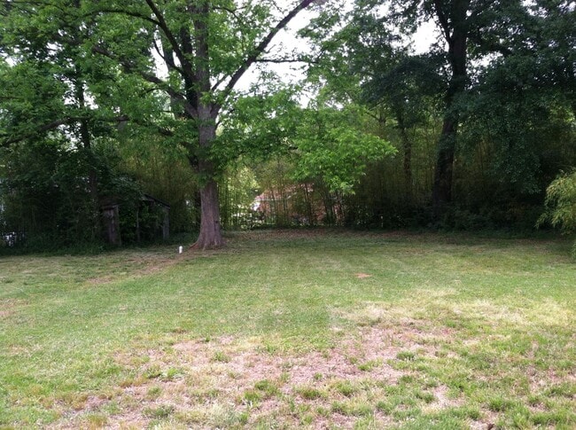 319 S Brookwood Dr in Auburn, AL - Building Photo - Building Photo