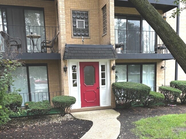 1003 Euclid Ave in Elmhurst, IL - Building Photo - Building Photo